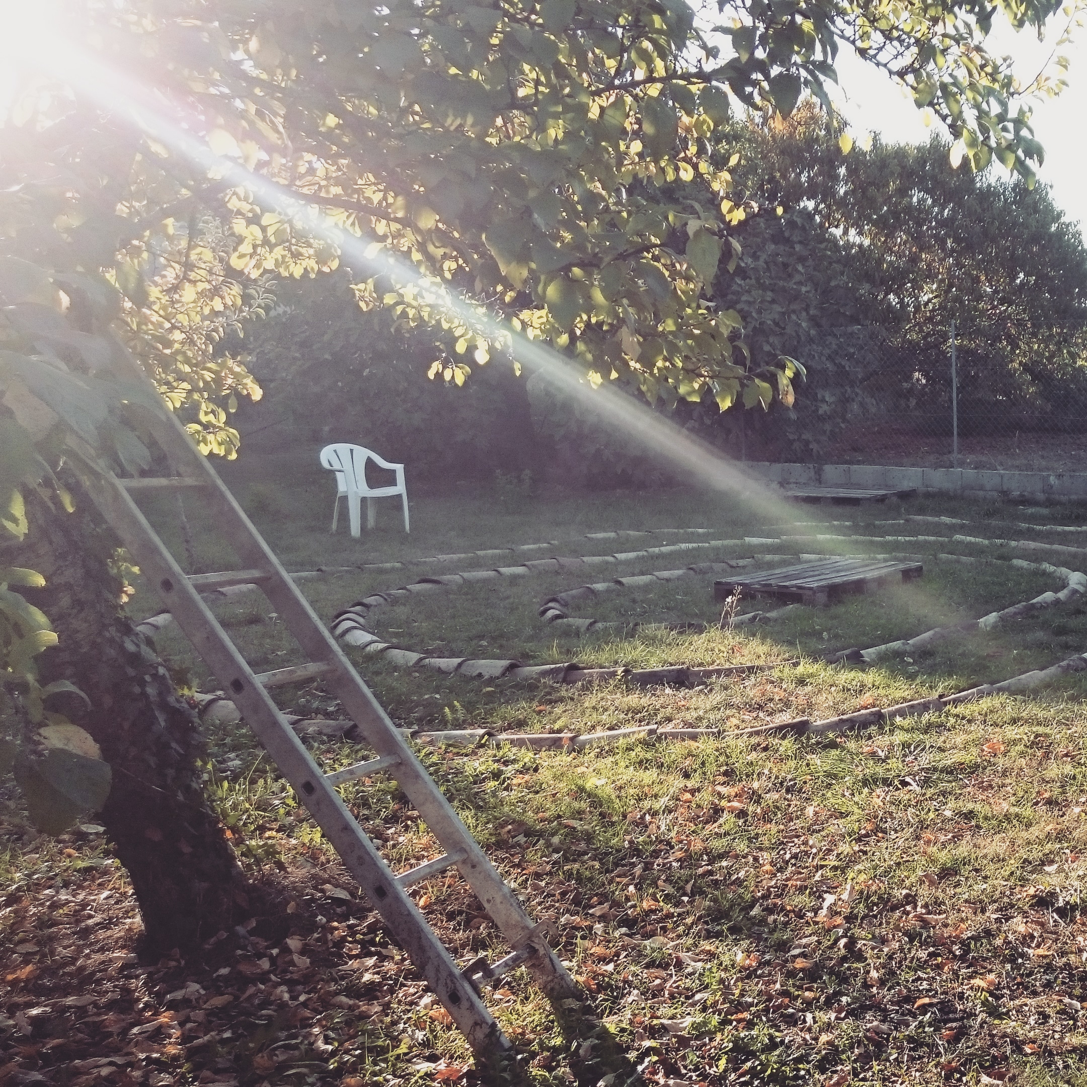 Rayon de soleil dans un jardin qui éclaire une spirale au sol